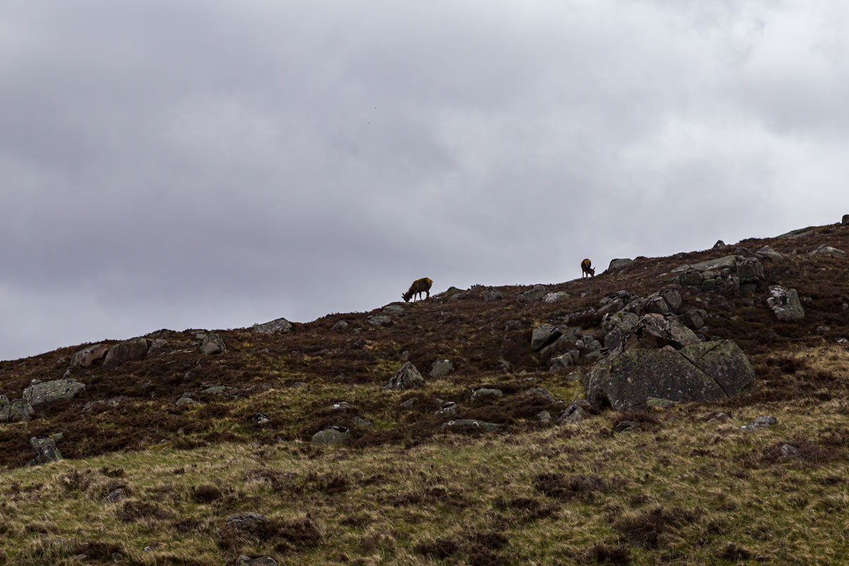 Artikelbild Loch Muick und Ballater